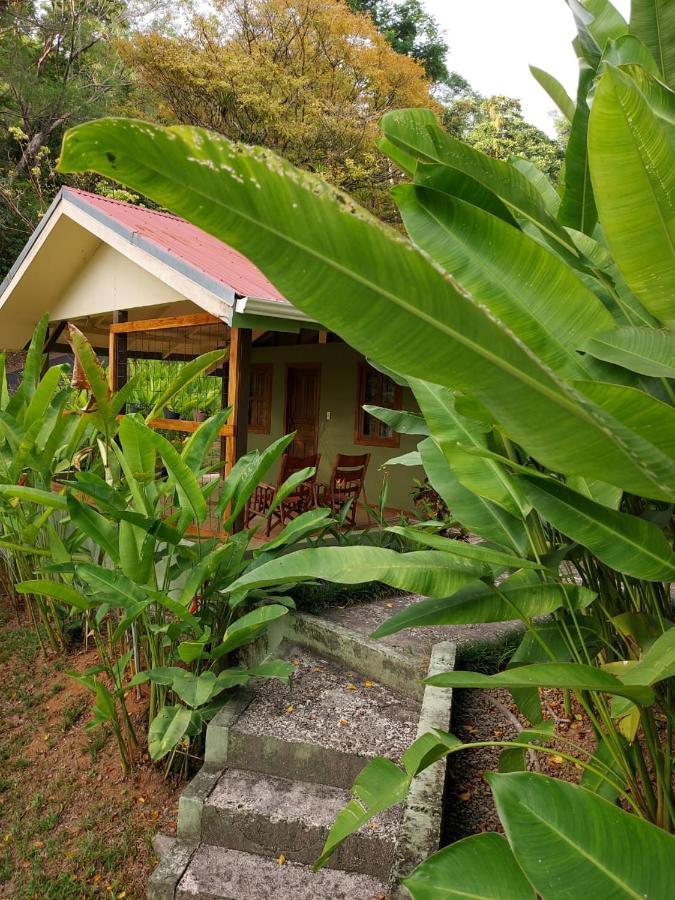 Cabina Rancho La Merced Uvita Dış mekan fotoğraf